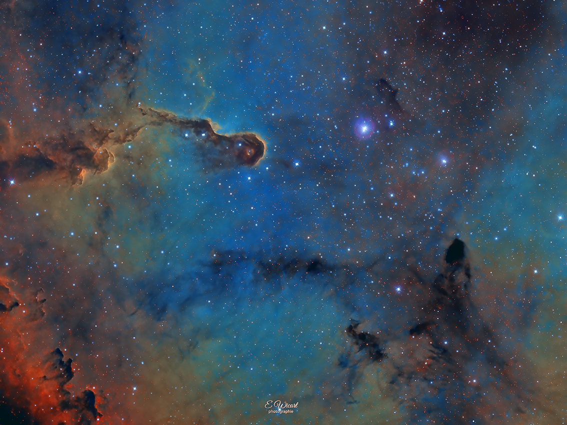 La trompe de l'éléphant-IC1396_LSHO