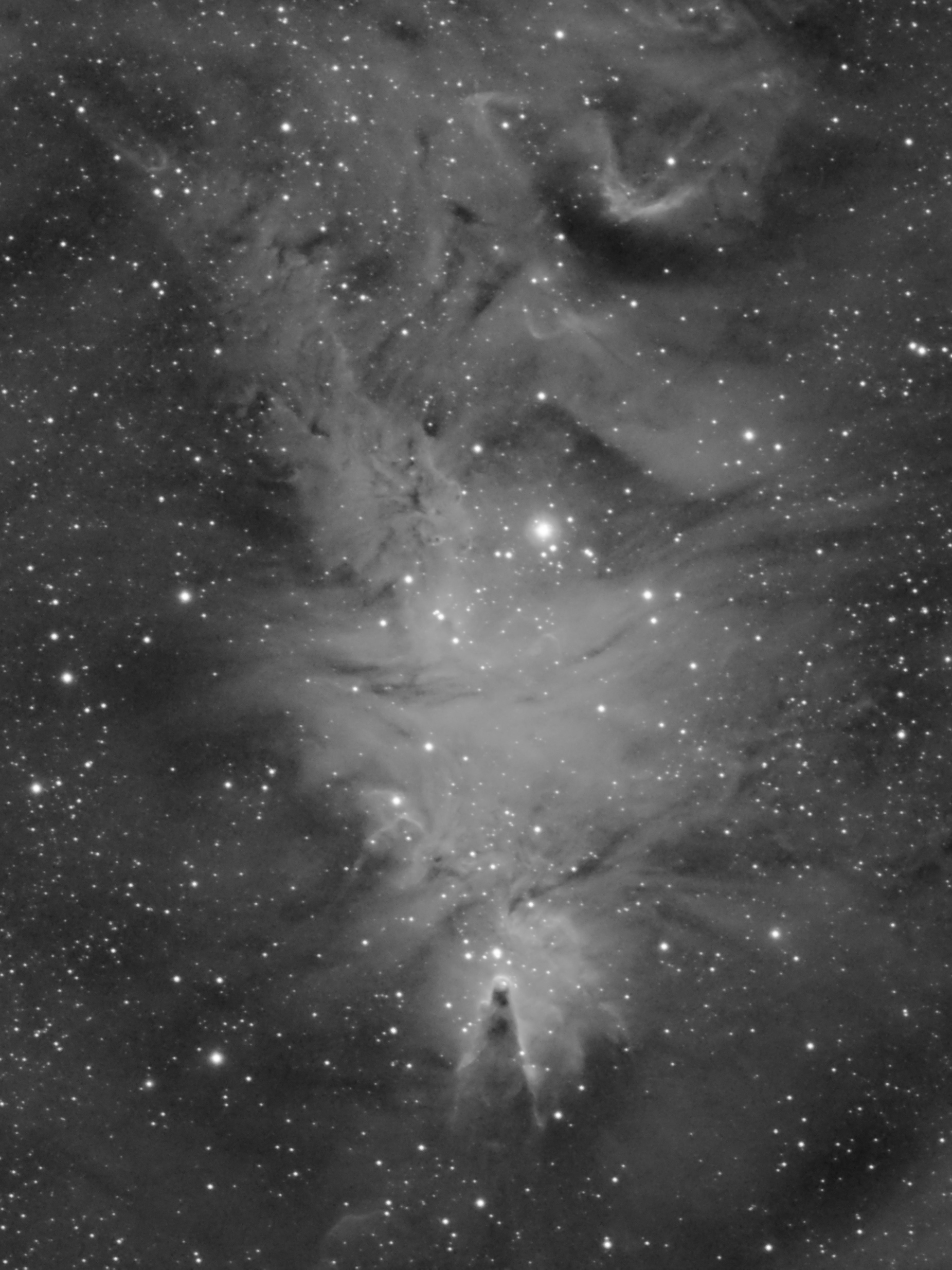 Le Cône_NGC2264