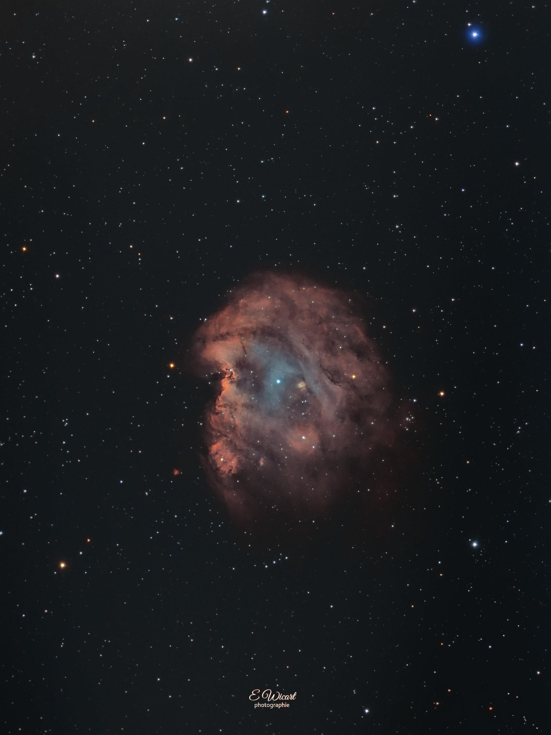 Le singe-NGC2175_LSHO