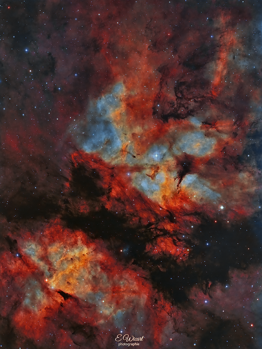 Le papillon-IC1318_LSHO