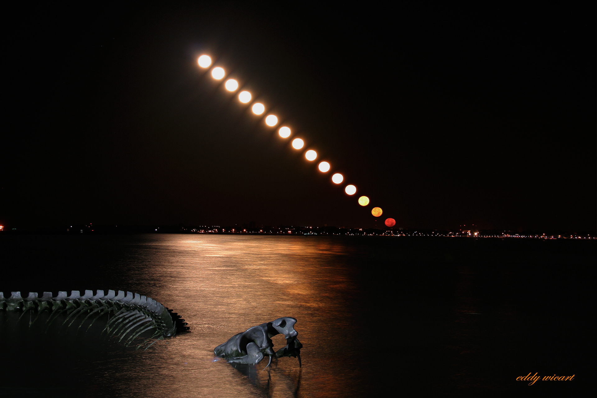 Lune VS Serpent de mer