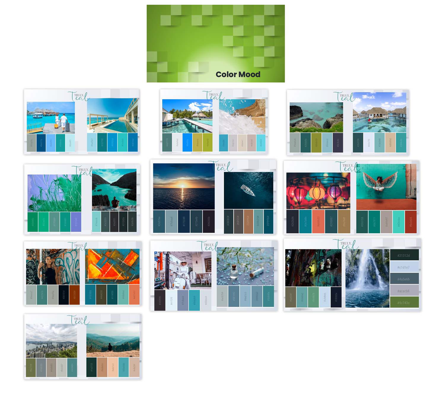 Branding Color Exploration