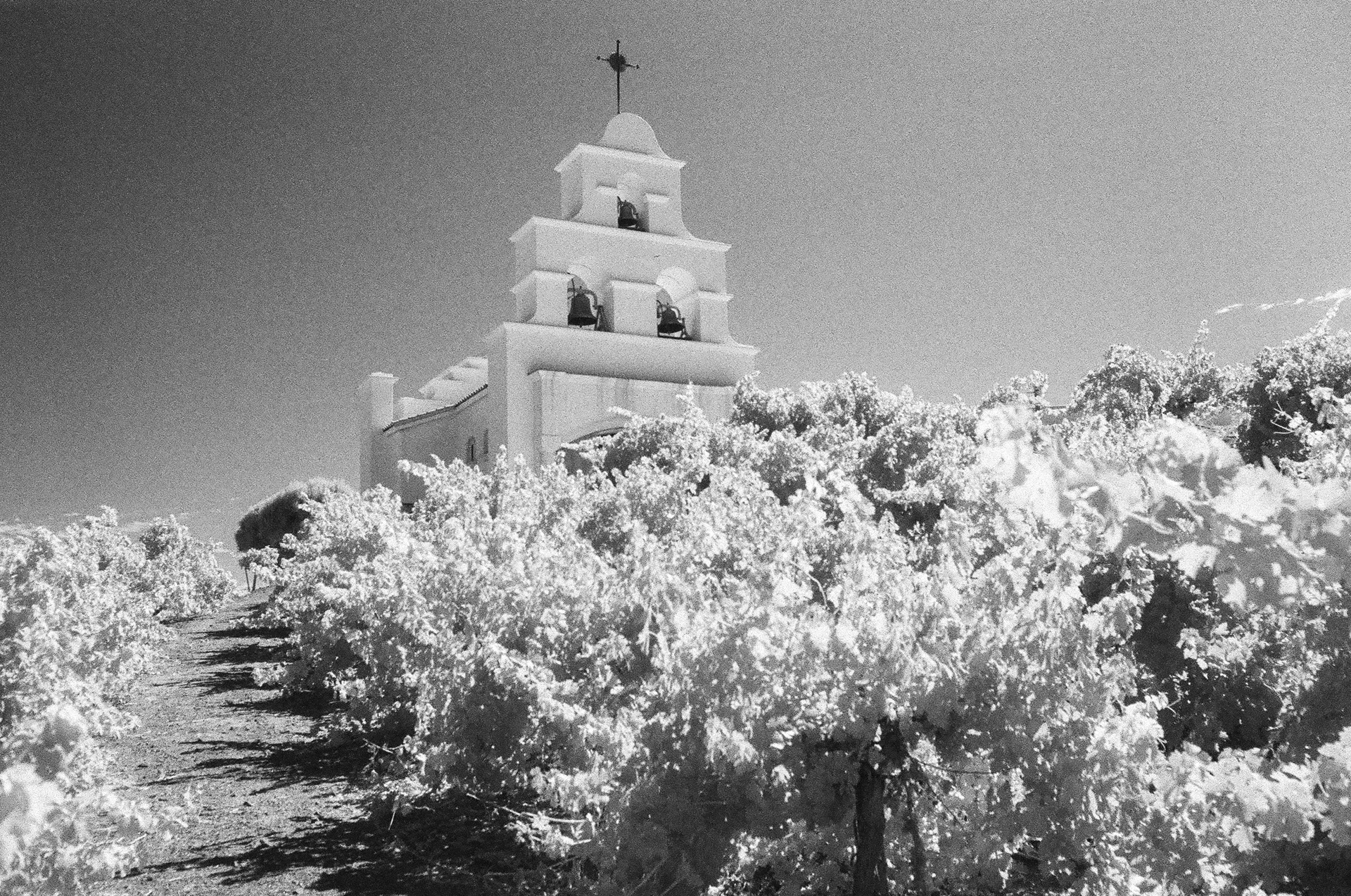 Chapel Hill Shandon
