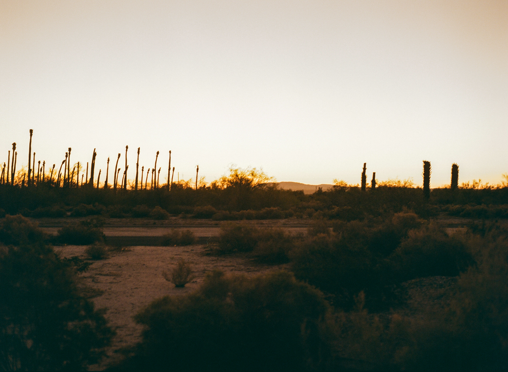 Borrego Springs