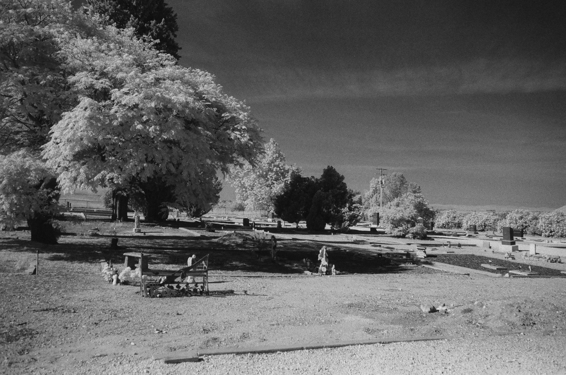 Shandon Cemetary