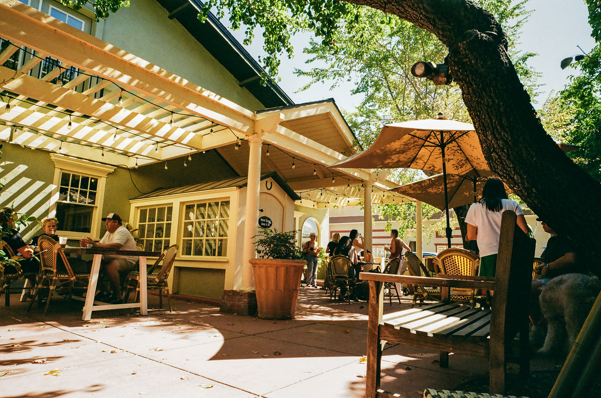 Cheval Coffee Paso Robles