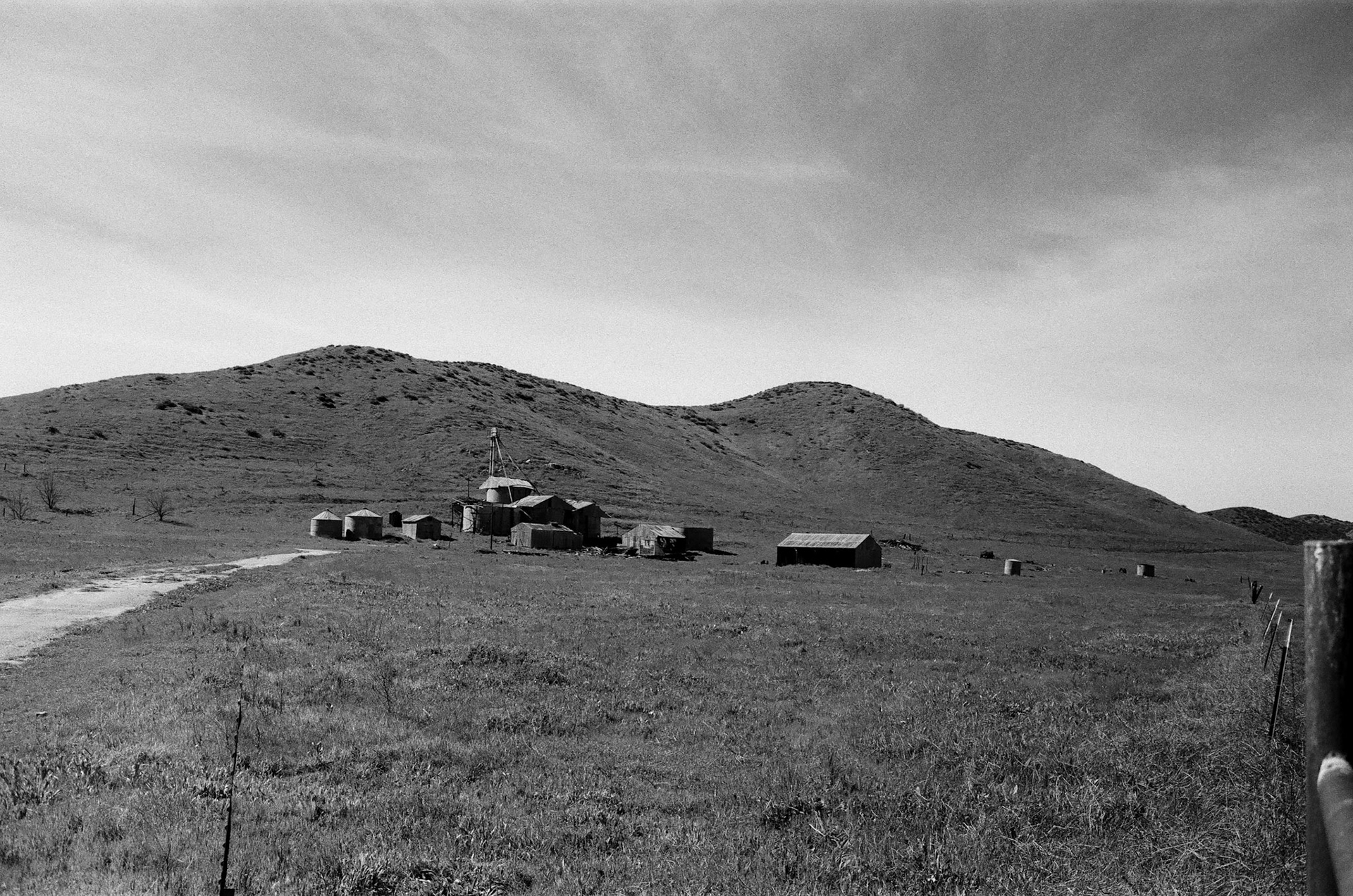 Carrizo Plain