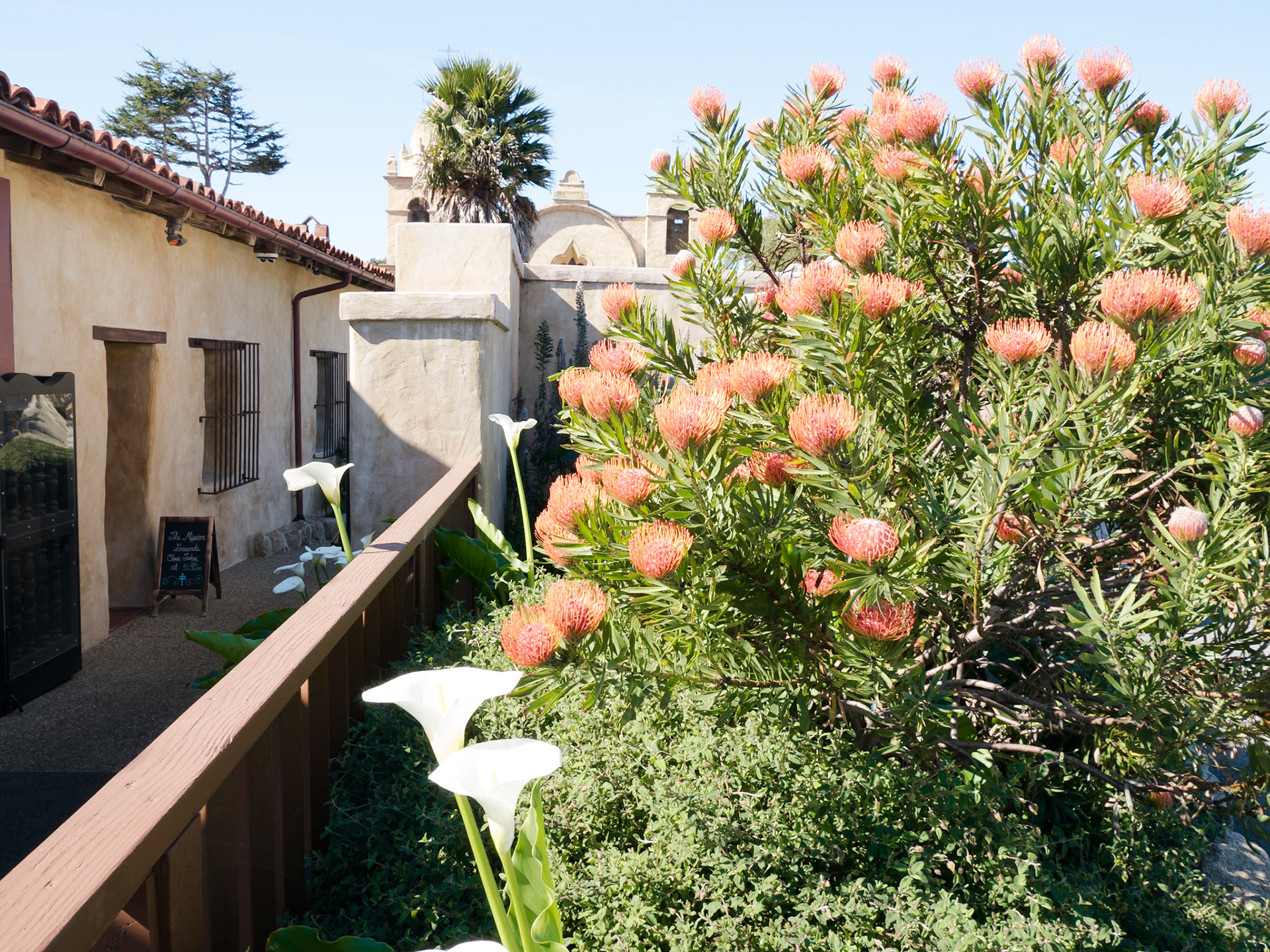 Mission Carmel