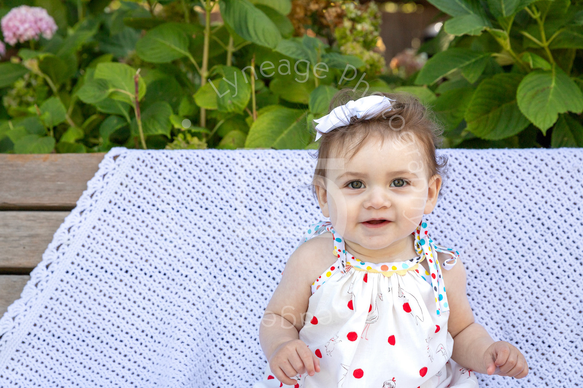 Lyneage-Photography