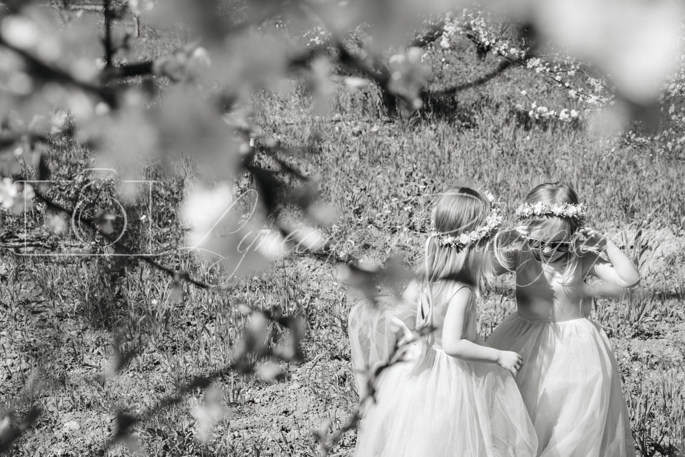 Lyneage-Photography