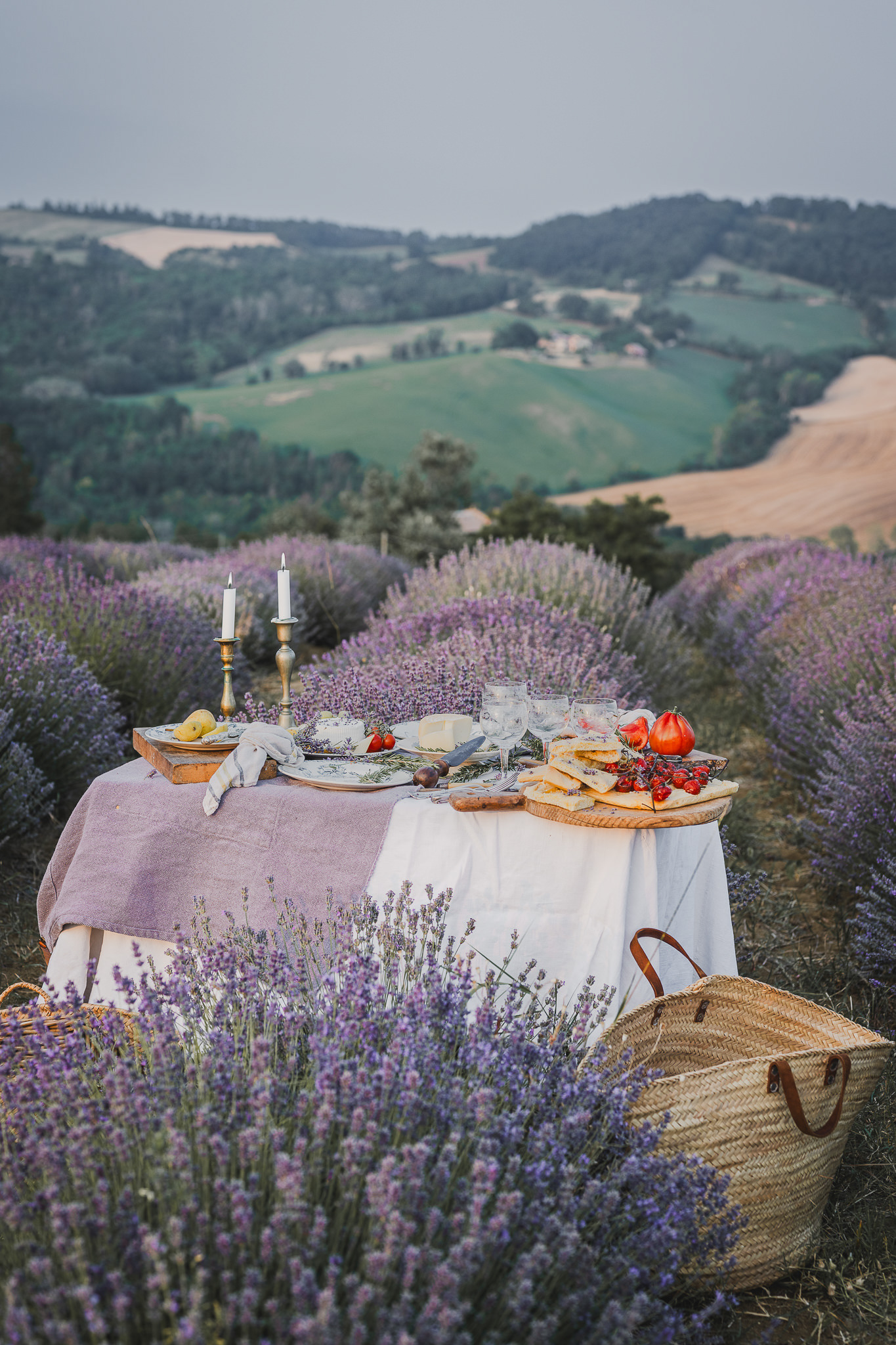 Lavenderfield, photo: Solli Kanani, Stylist: Barbara 