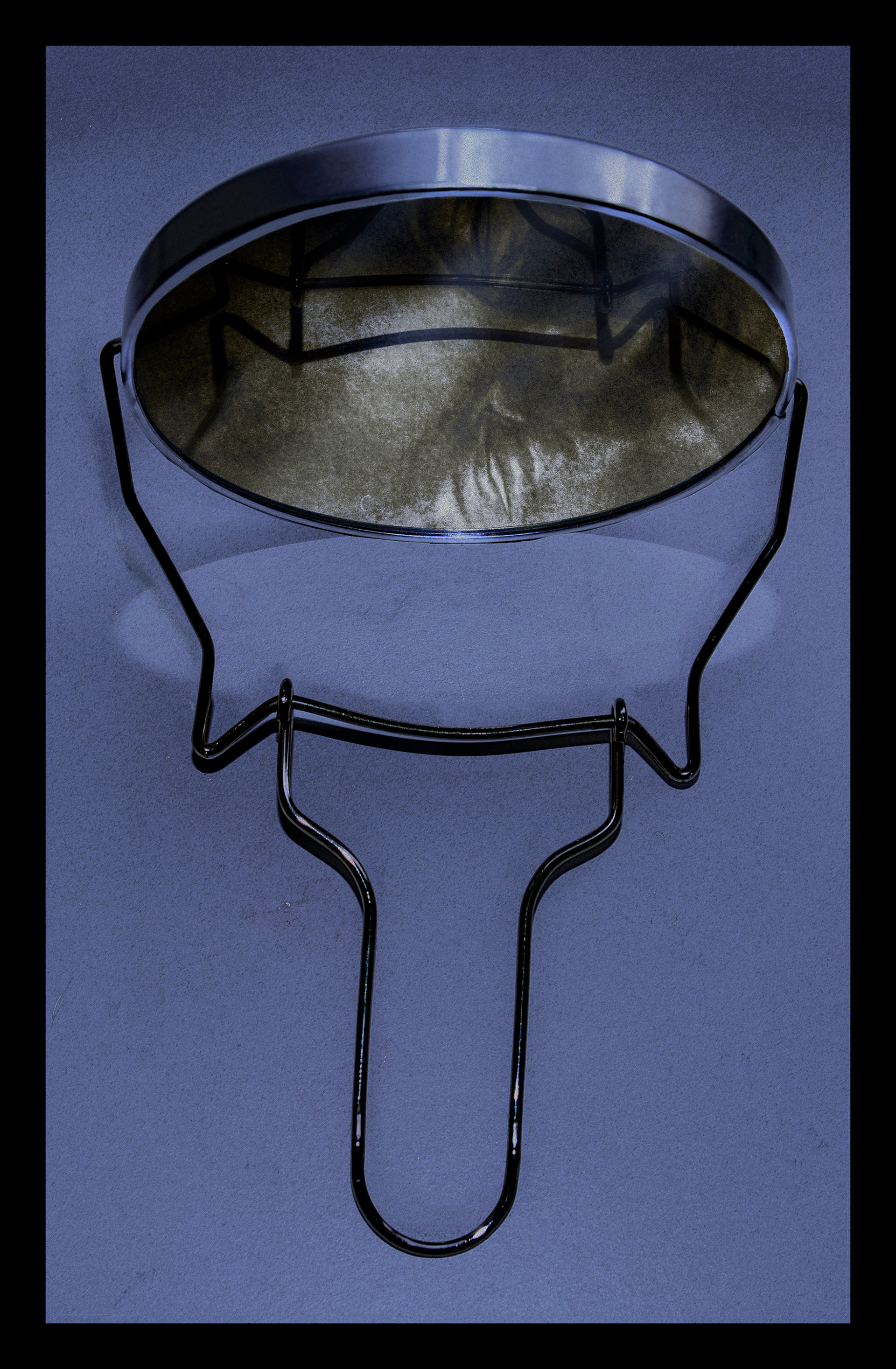 Po_Widok  IV, druk cyfrowy, ok.32x50cm, 2022