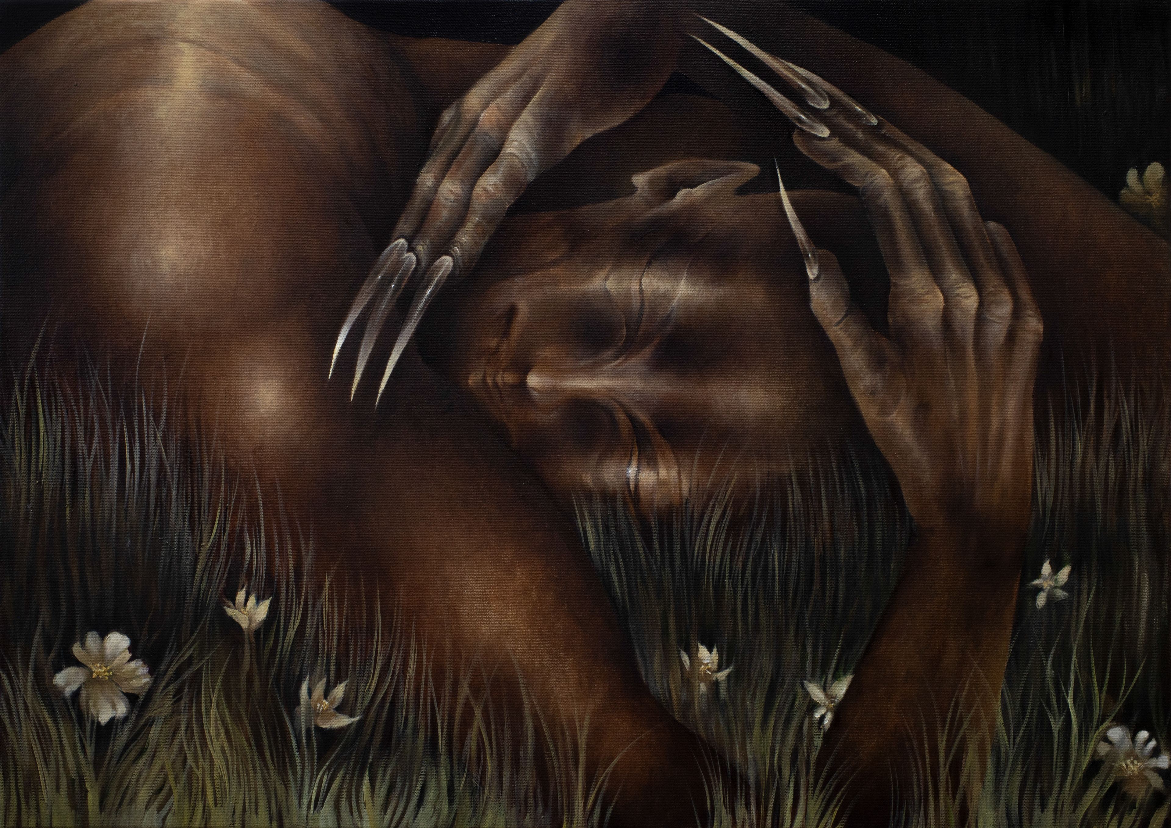 Claw Fingers (Resting), oil on canvas, 50x70cm, 2025