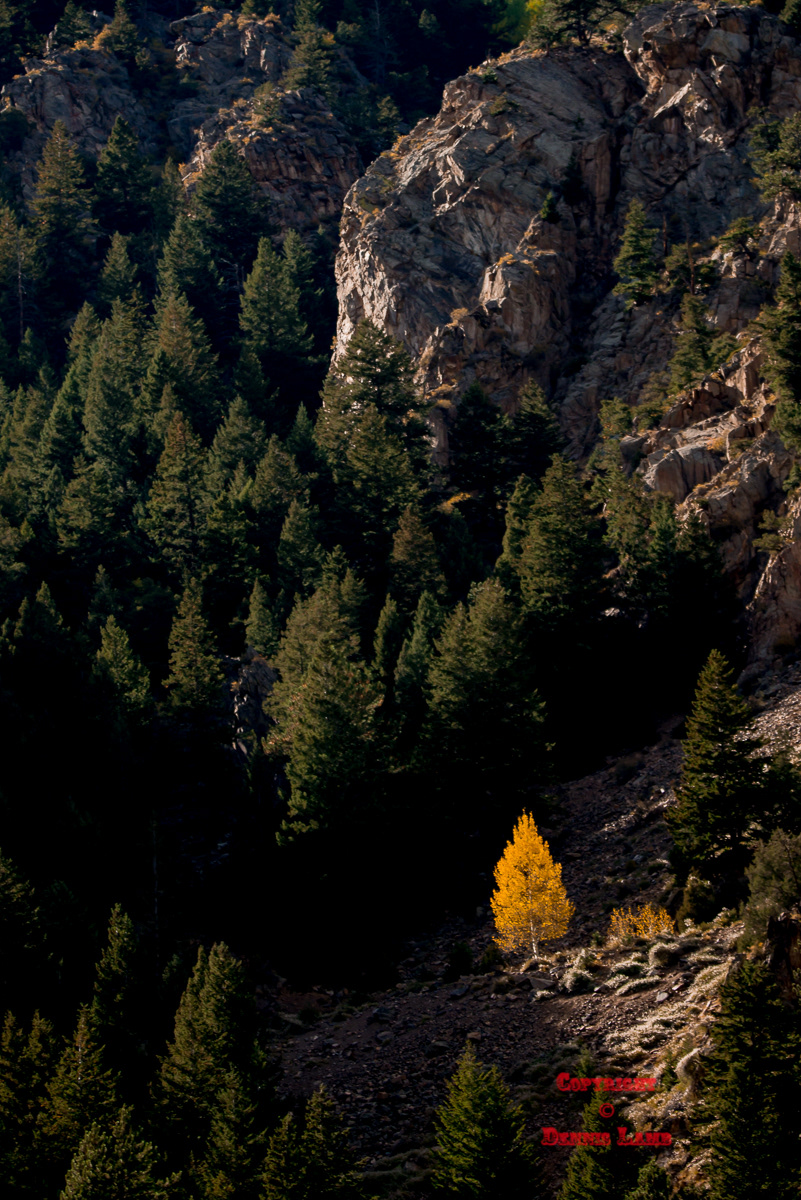 Colorado 69