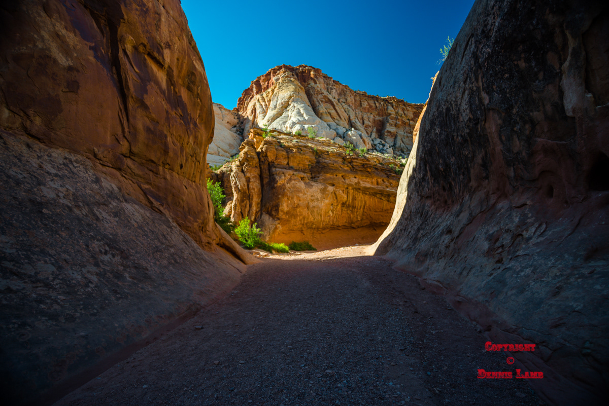 Utah - Capital Reef 1