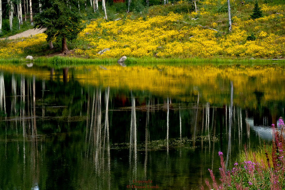 220820-Grand Mesa-R12