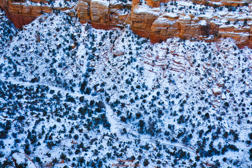CO Natl Monument-Bookcliffs-17