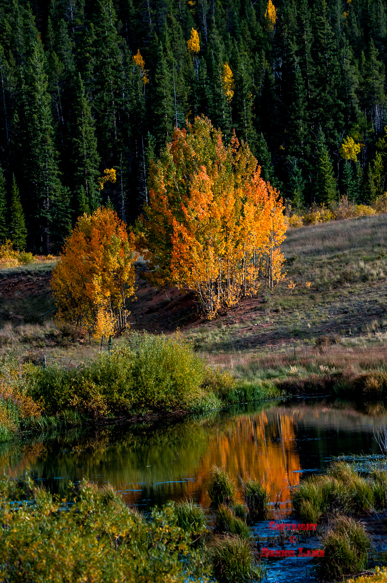 Colorado 67