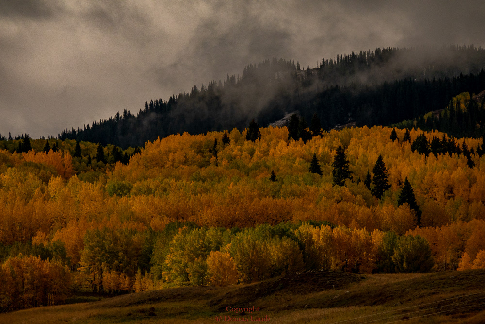 20221001-Kebler Pass-413