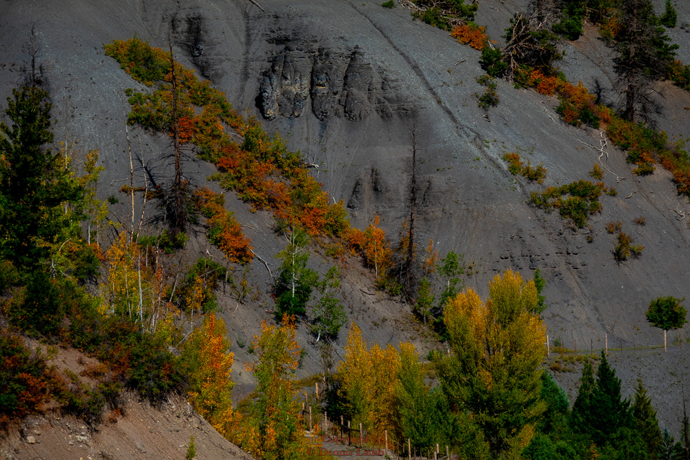 20220926-Blaine Basin-18