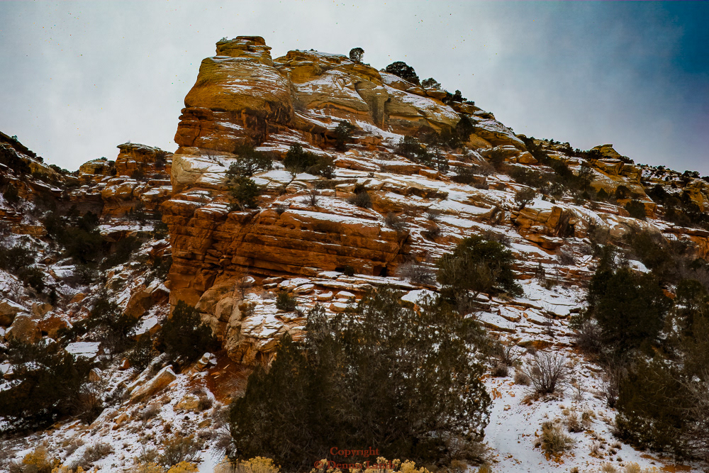 CO Natl Monument-Bookcliffs-33
