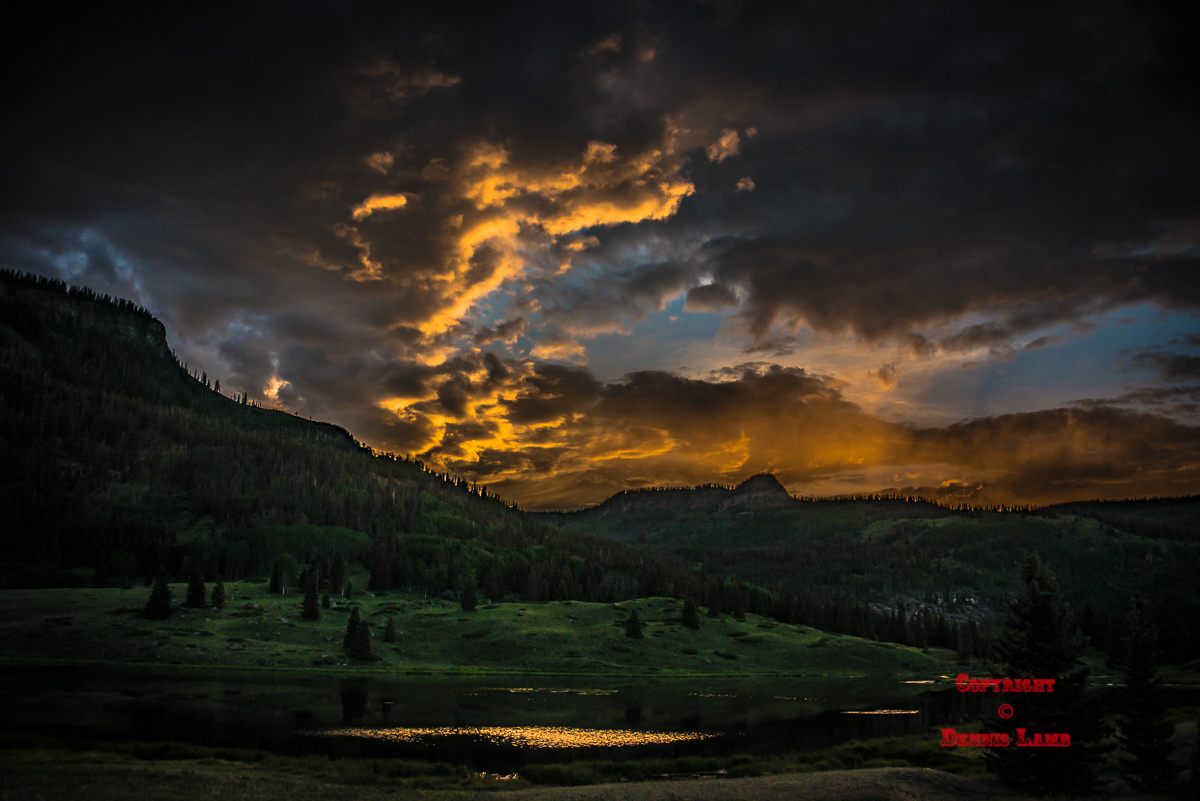 Colorado 11