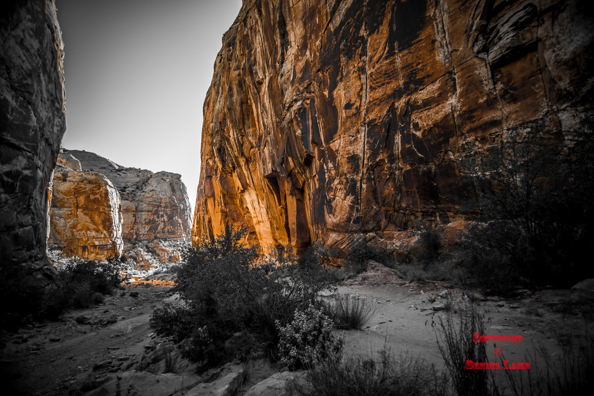 Utah - Capital Reef 2
