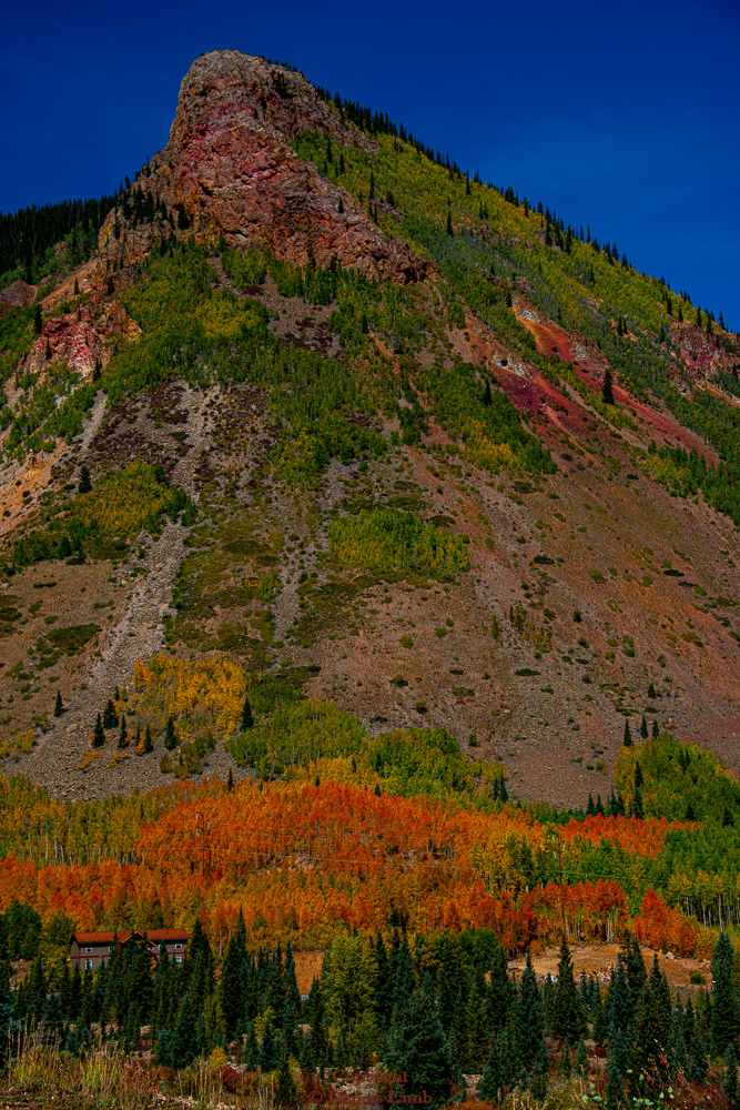 Mountain Variety