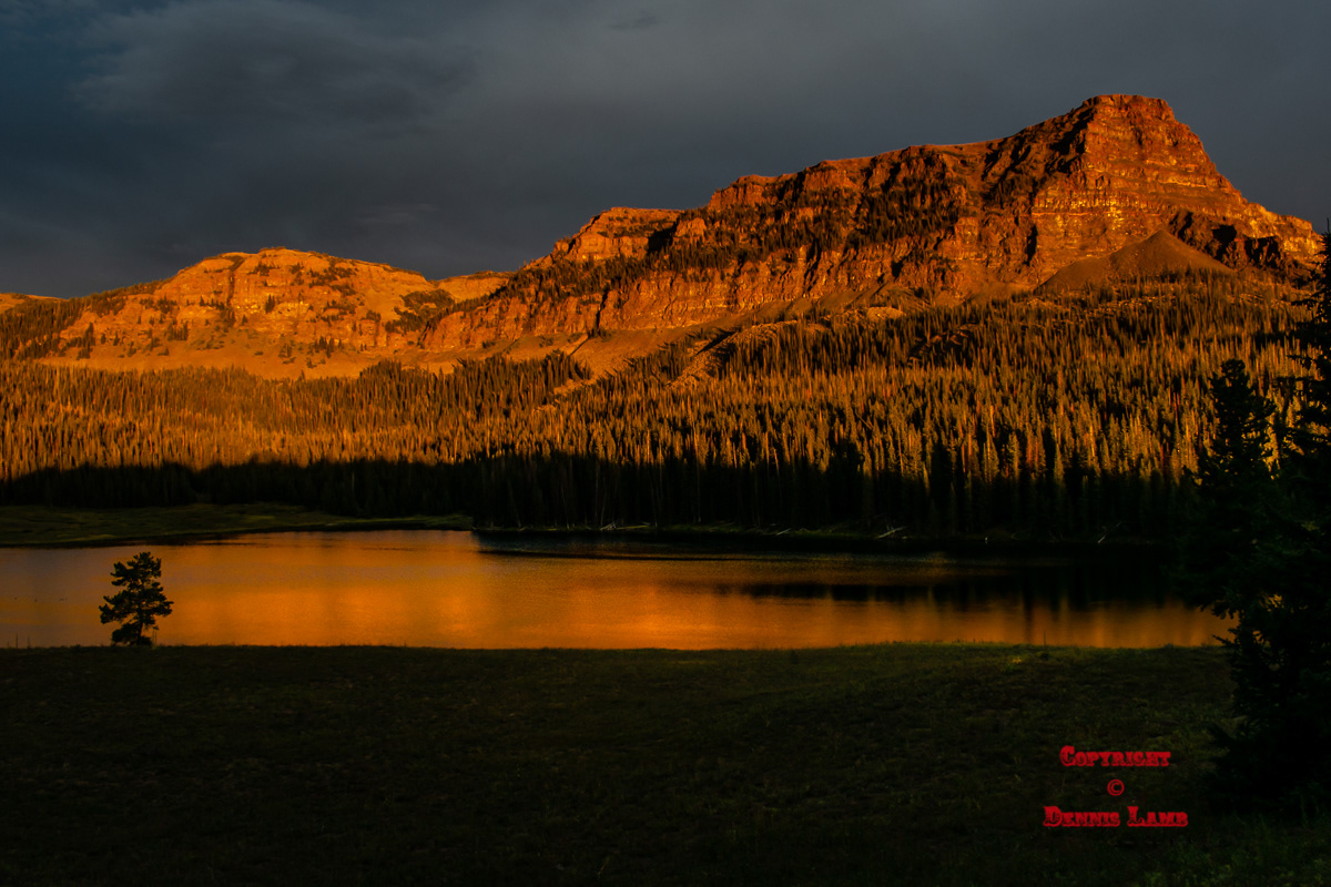 Colorado 5