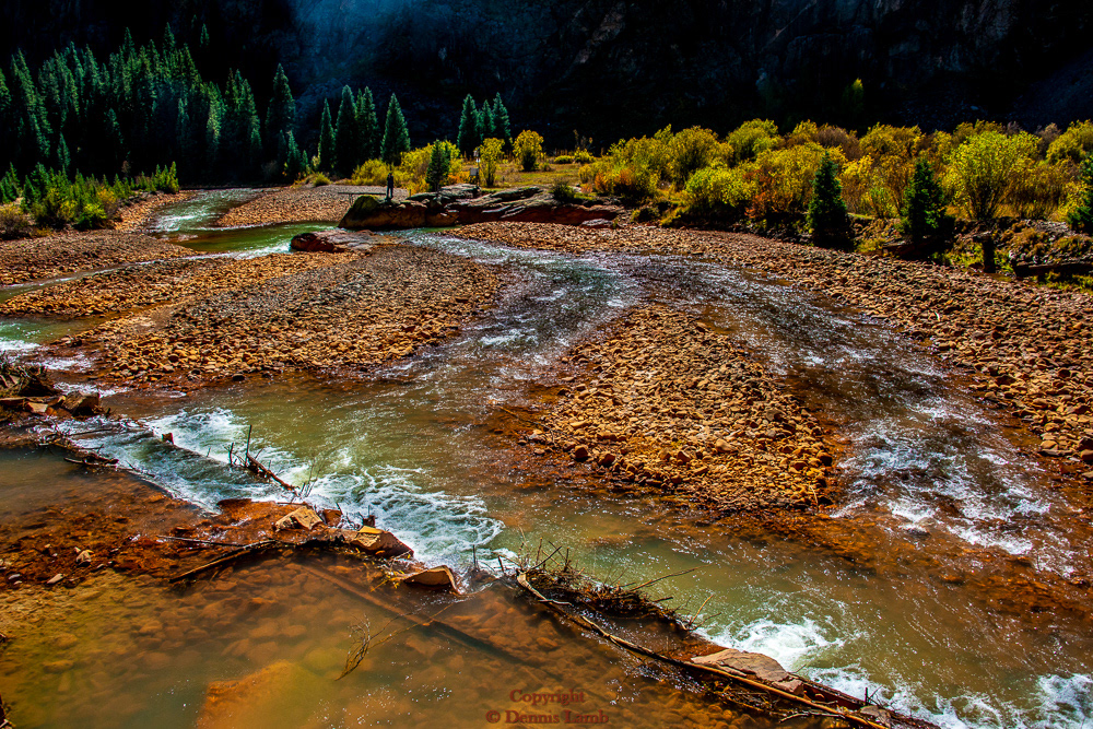 Animas River Highlights