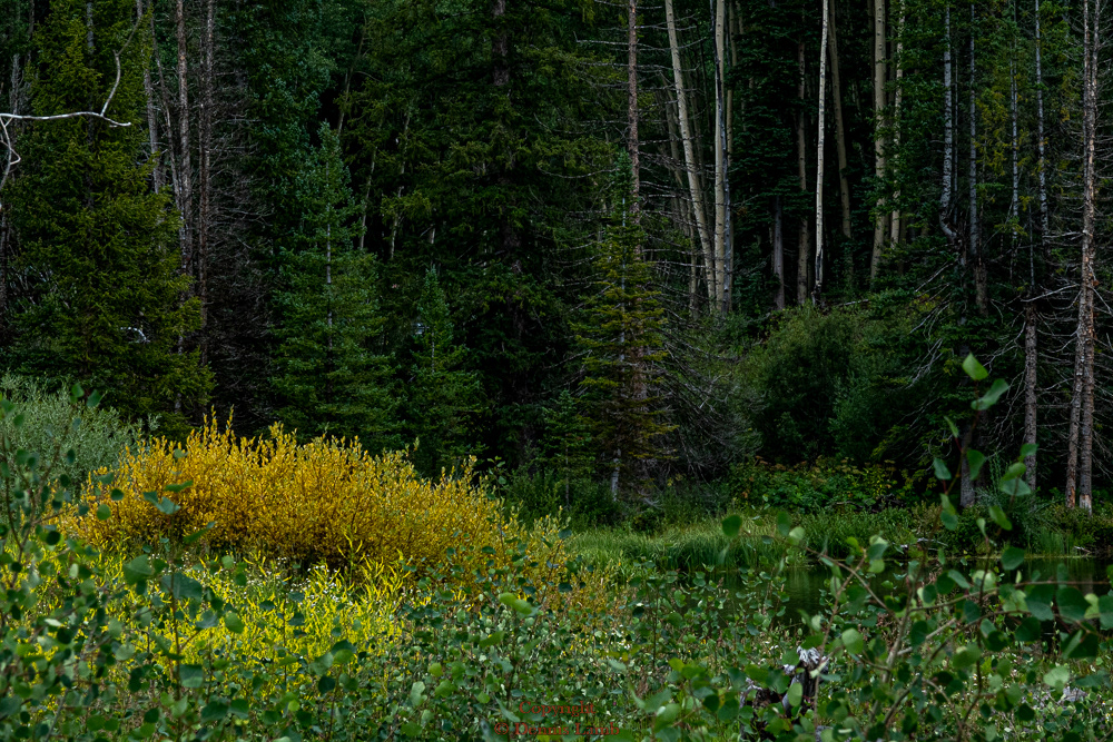 220820-Grand Mesa-R2