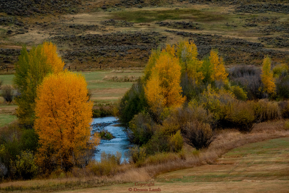 20221002-Ohio Creek Road-434