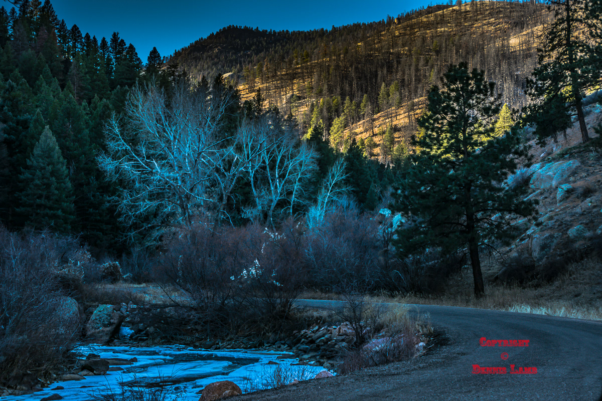 Colorado 49
