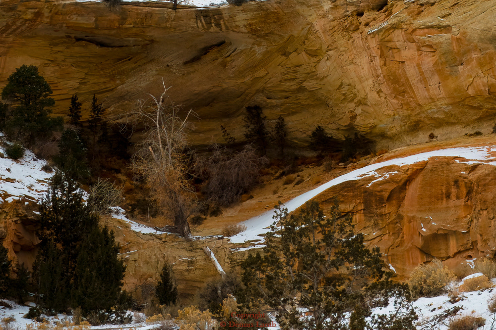 CO Natl Monument-Bookcliffs-23
