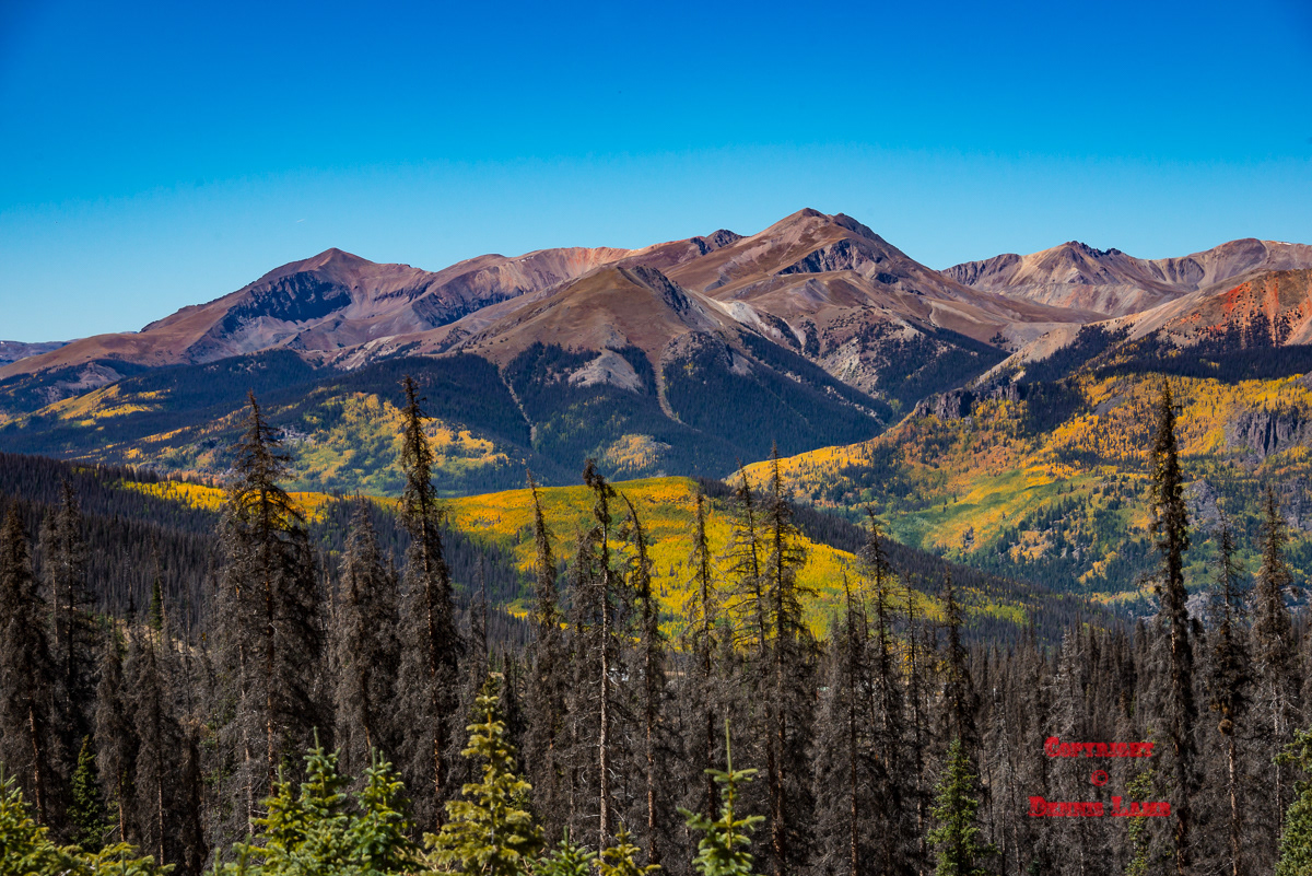 Colorado 60