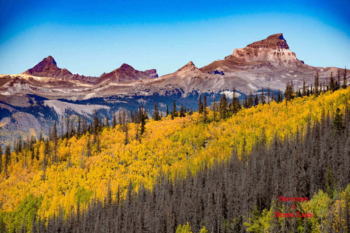Colorado 61