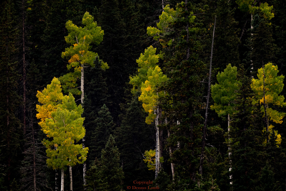 20220926-Blaine Basin-105