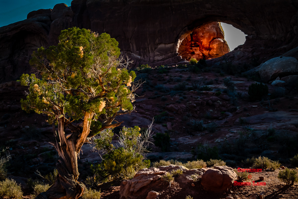 Utah - Arches 1