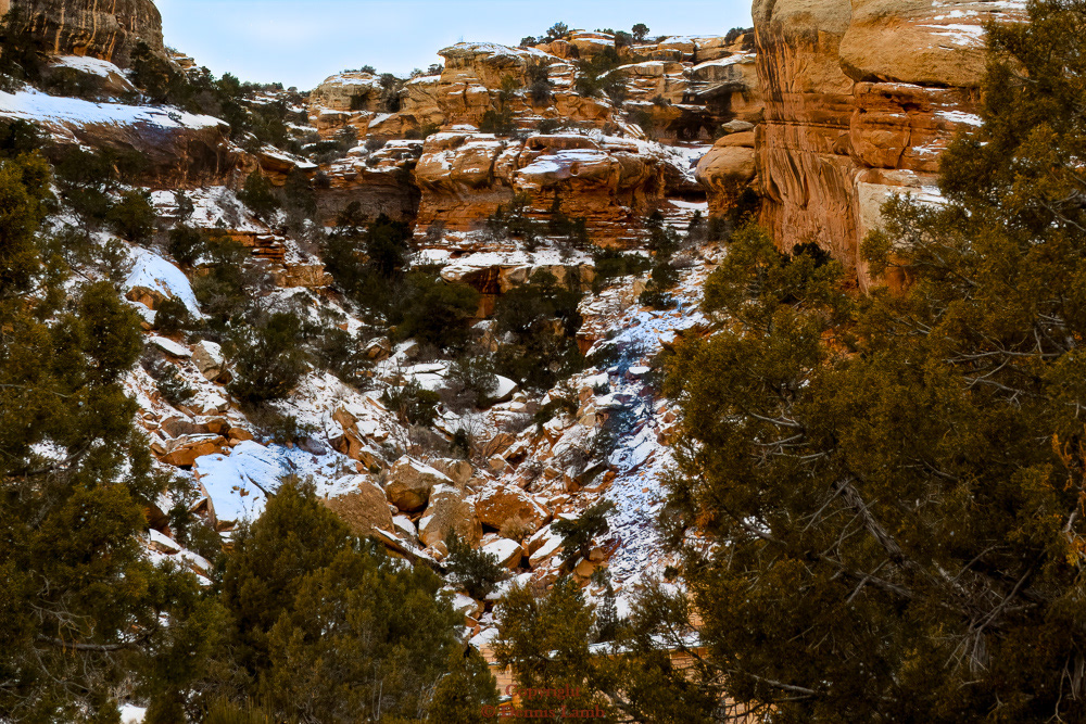 CO Natl Monument-Bookcliffs-28