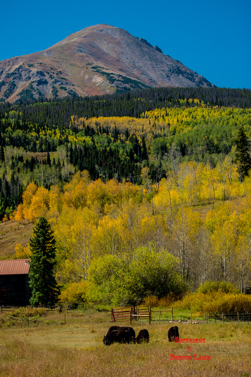 Colorado 70