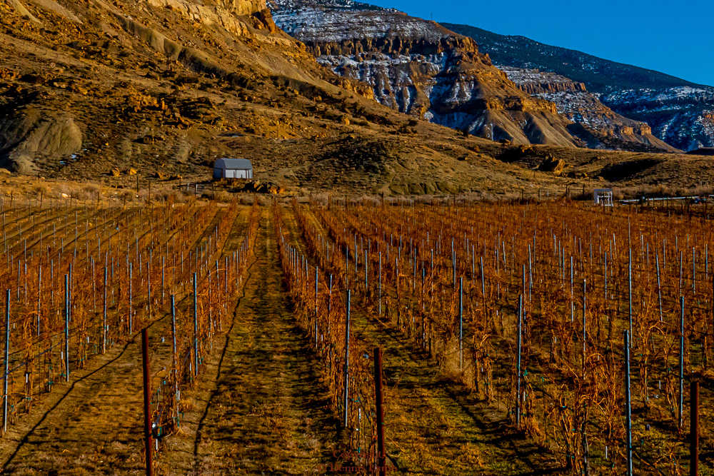 220212-Palisades-R1-Edit