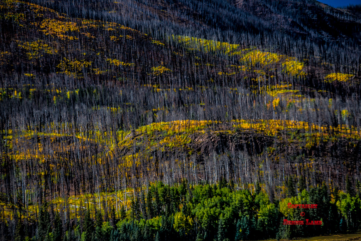 Colorado 56