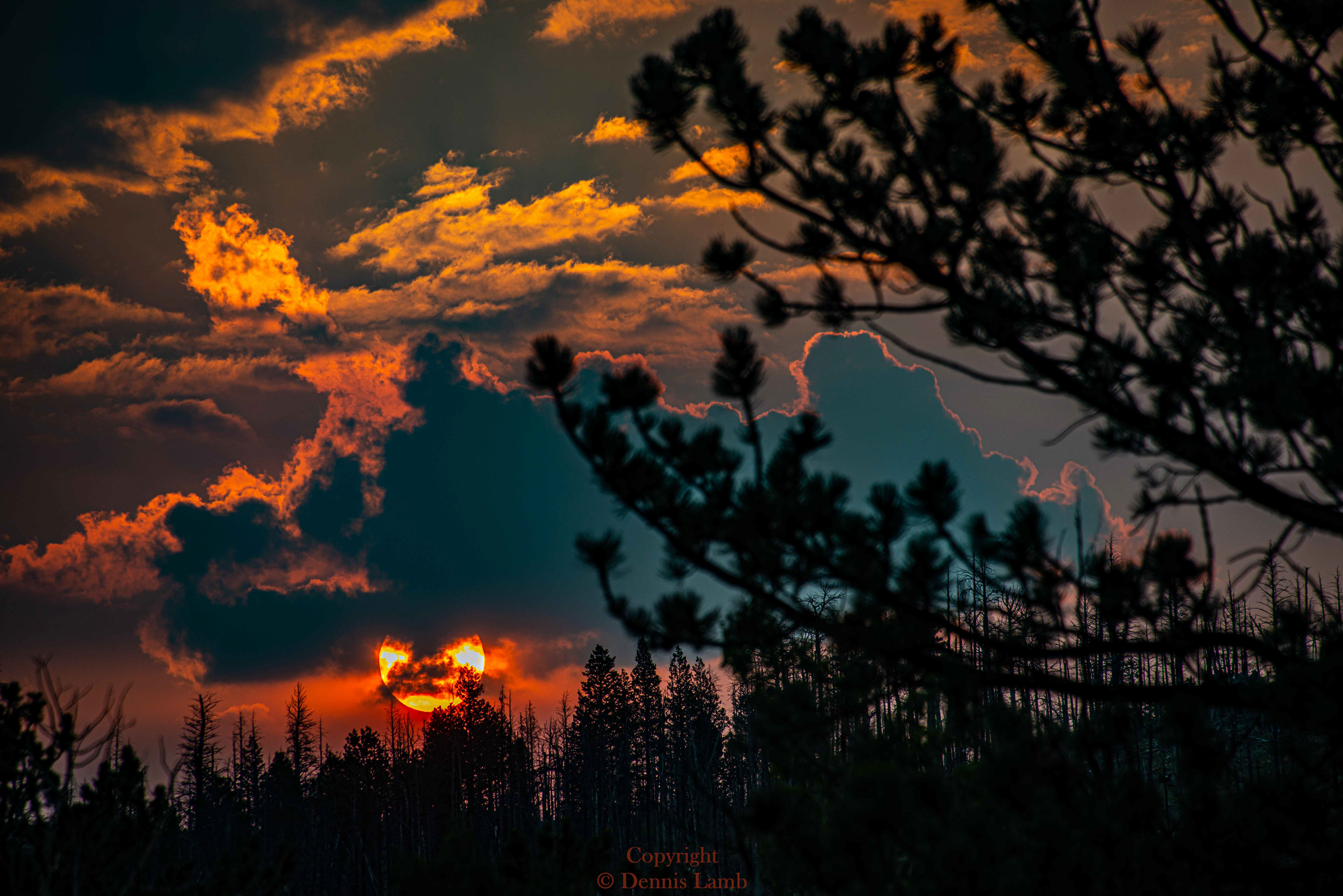 Colorado 46