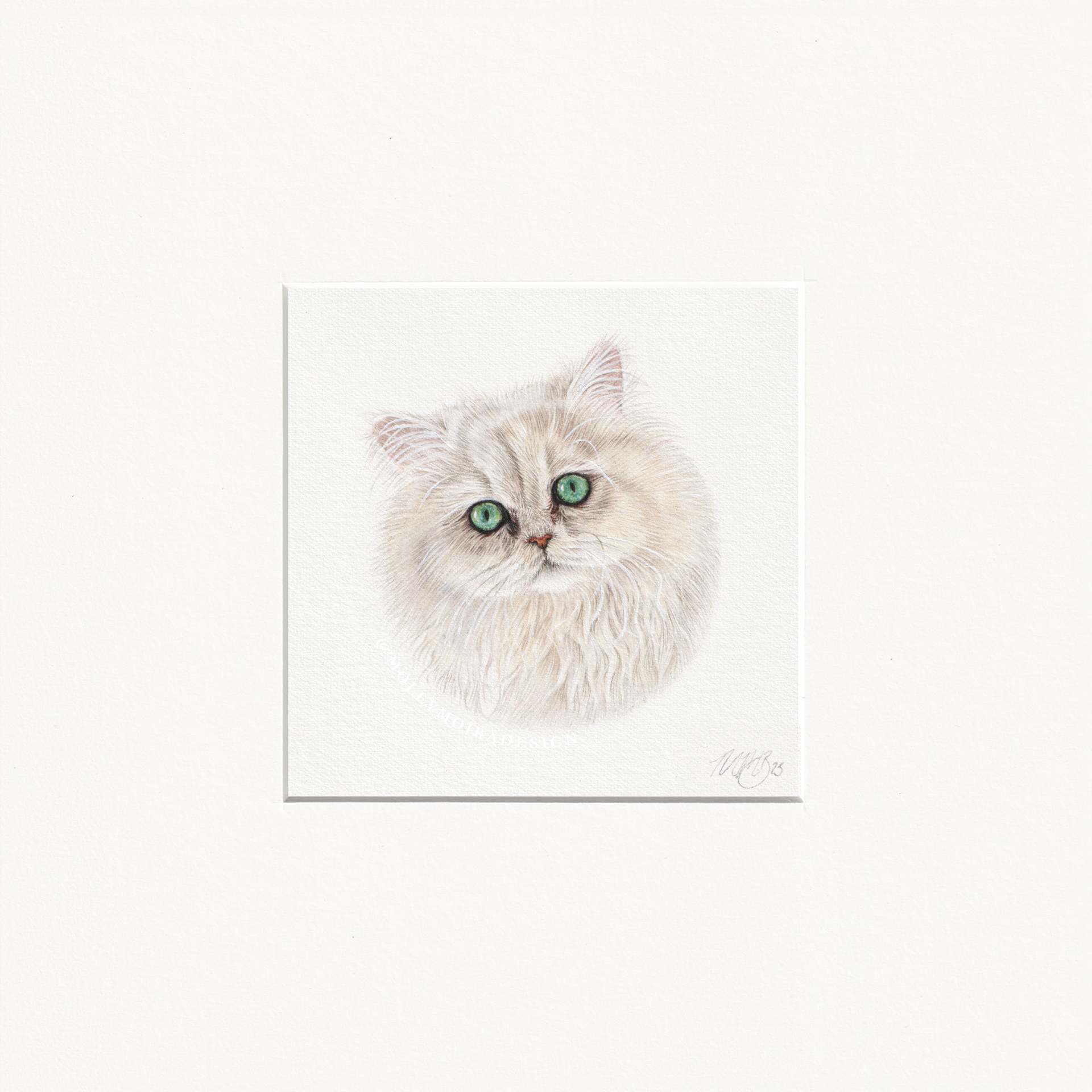 Mini pencil pet portrait of a cute cat