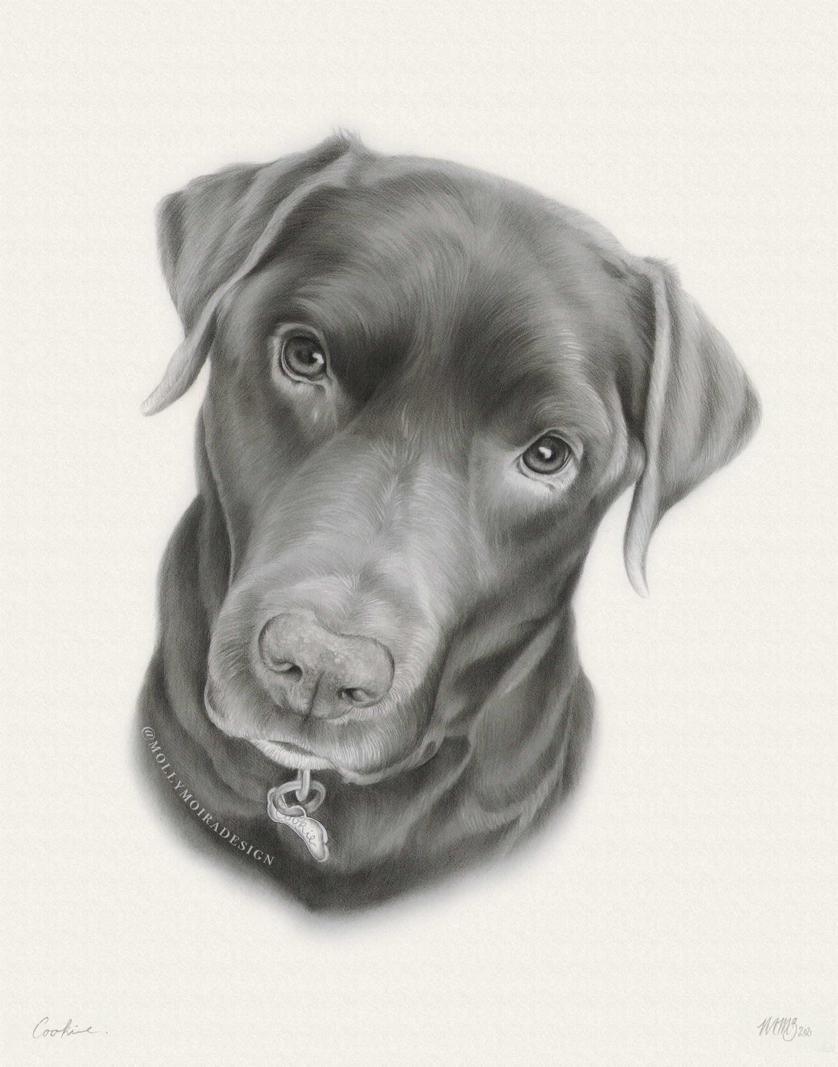 Cookie, Graphite, 11x14"