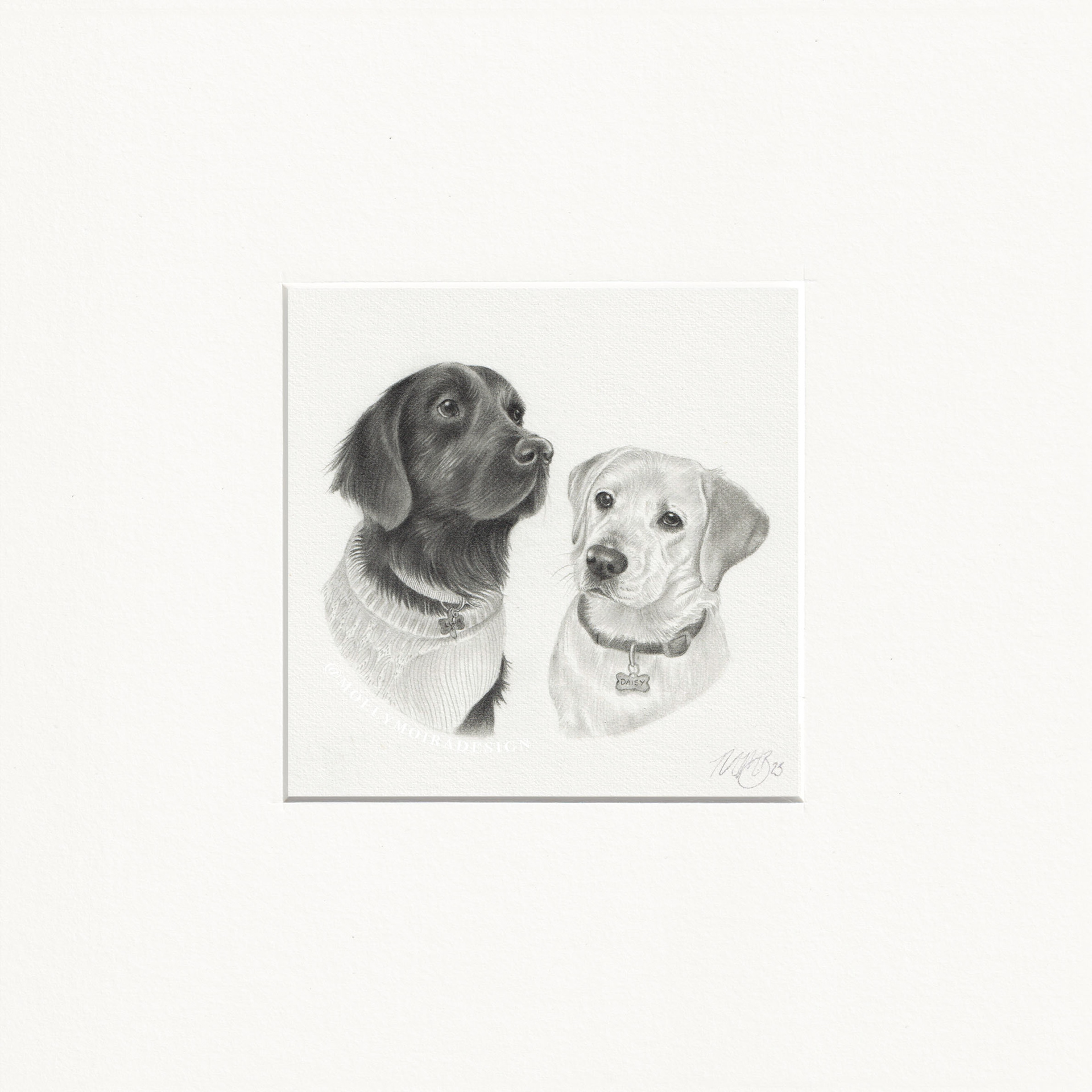 Mini graphite pet portrait of two labradors