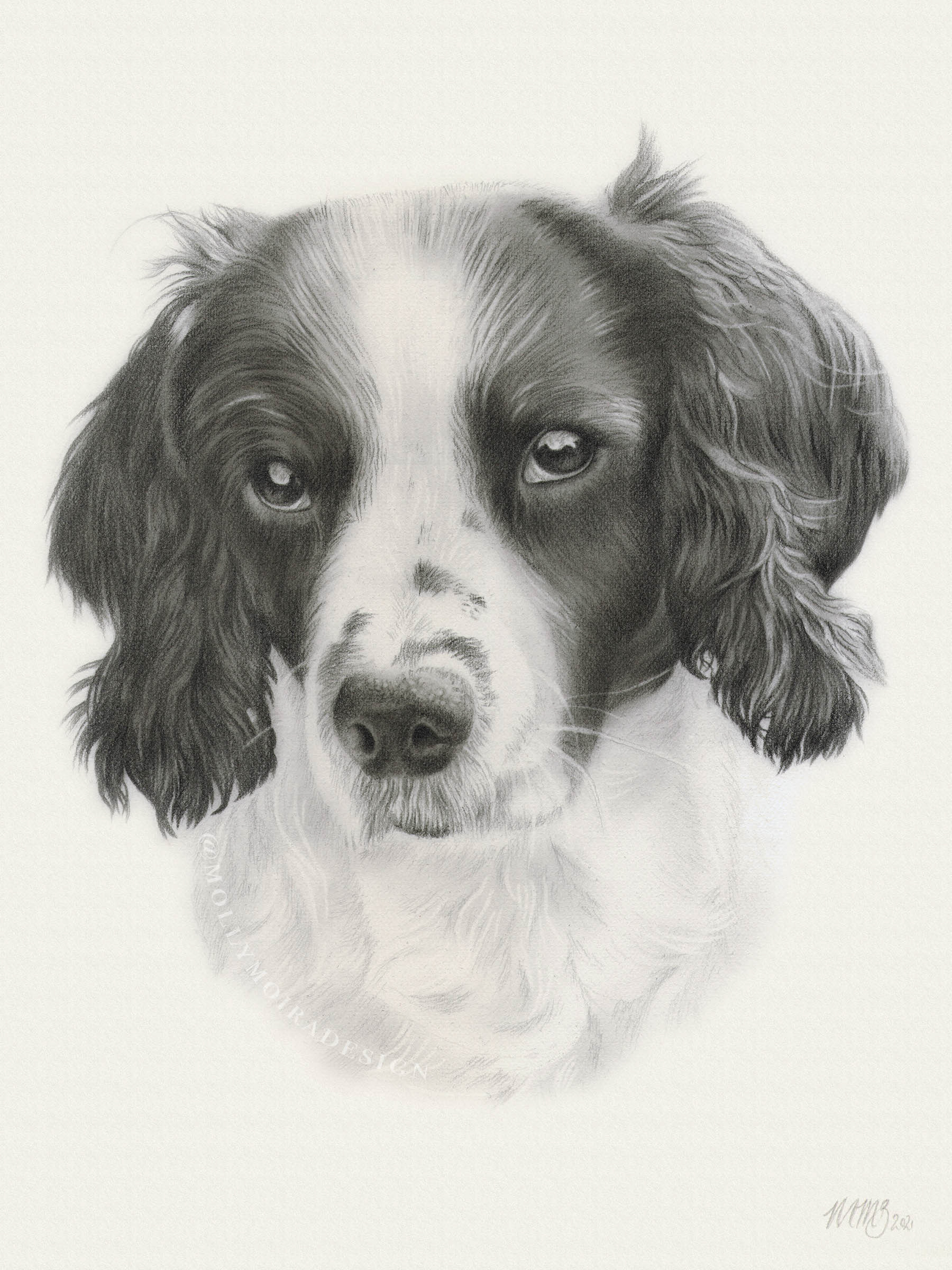 Roxy, Graphite, 6x8"