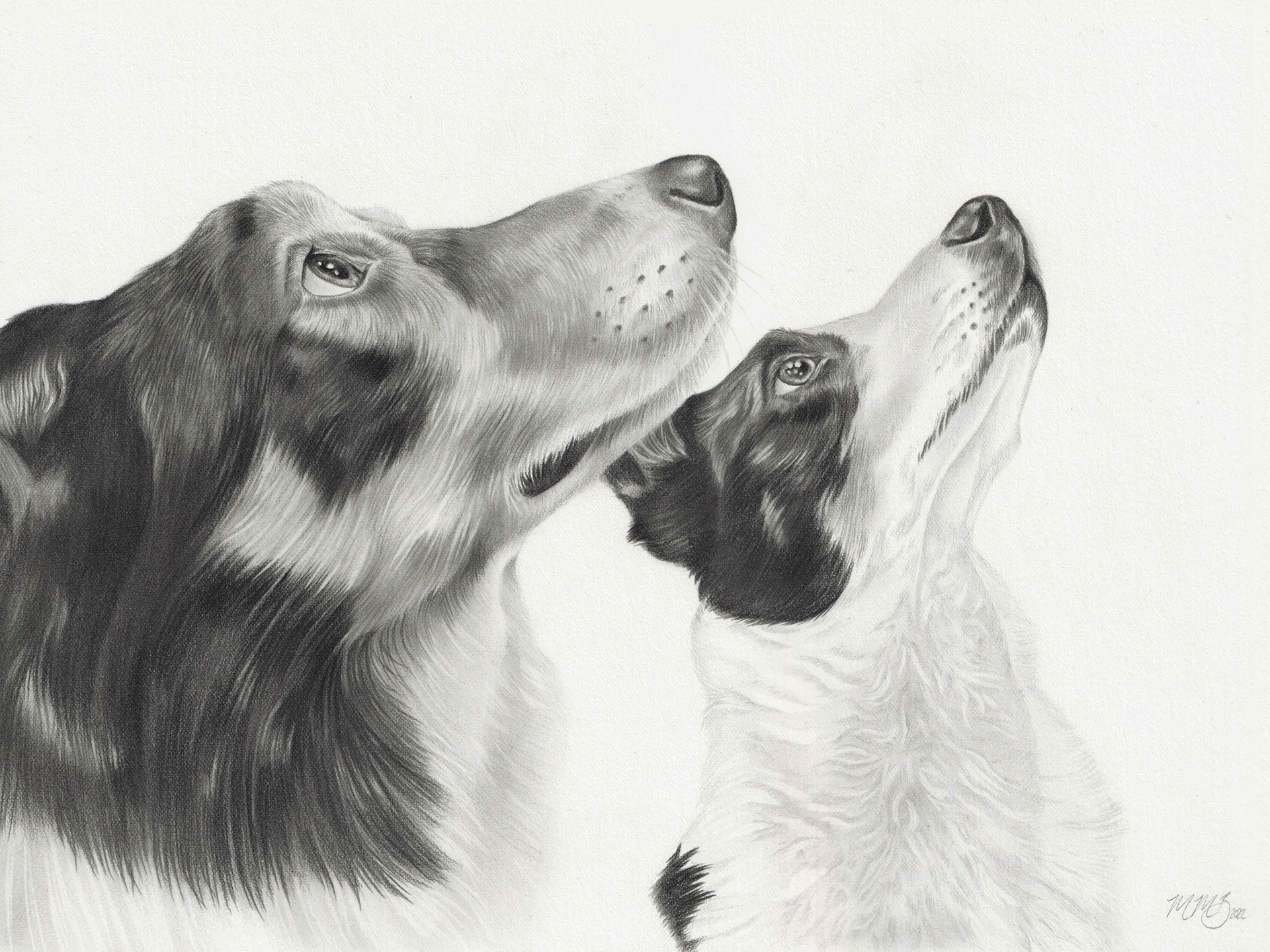 Faye and Fly, Graphite, 9x12"
