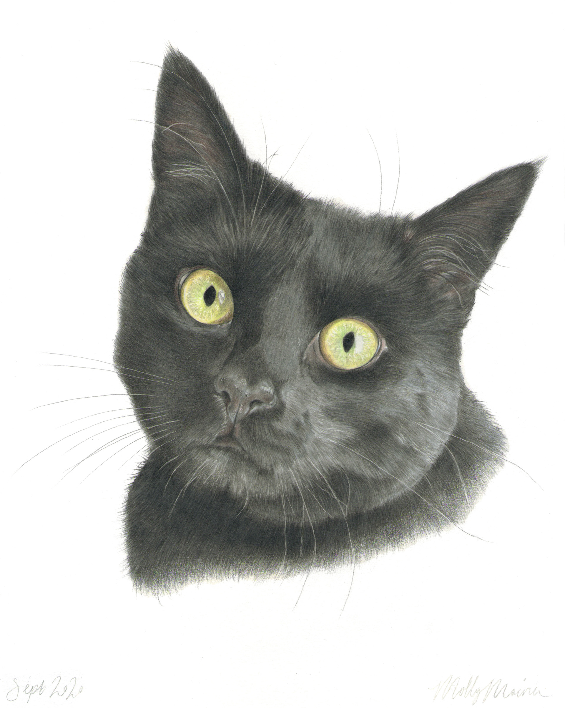 A realistic drawing of a black cat with green eyes drawn with coloured pencils