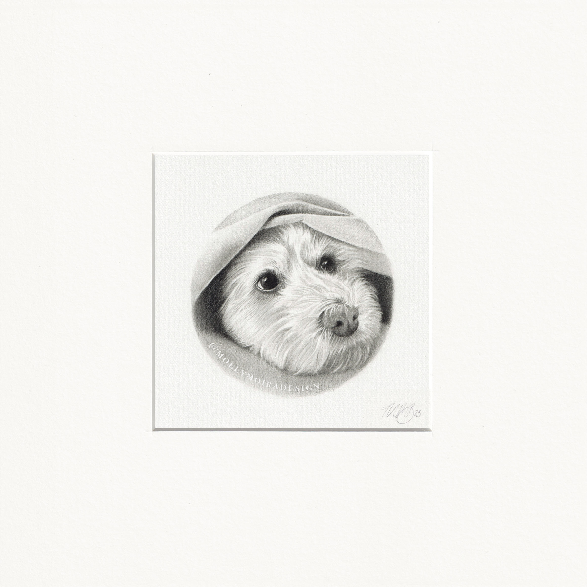 Mini pet portrait of a cute dog